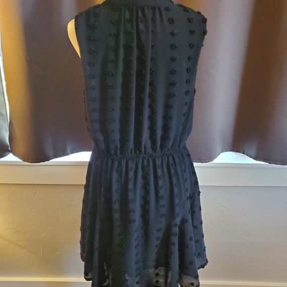 Sweet Wanderer sleeveless black dress with swiss dot design. - Picture 4 of 6